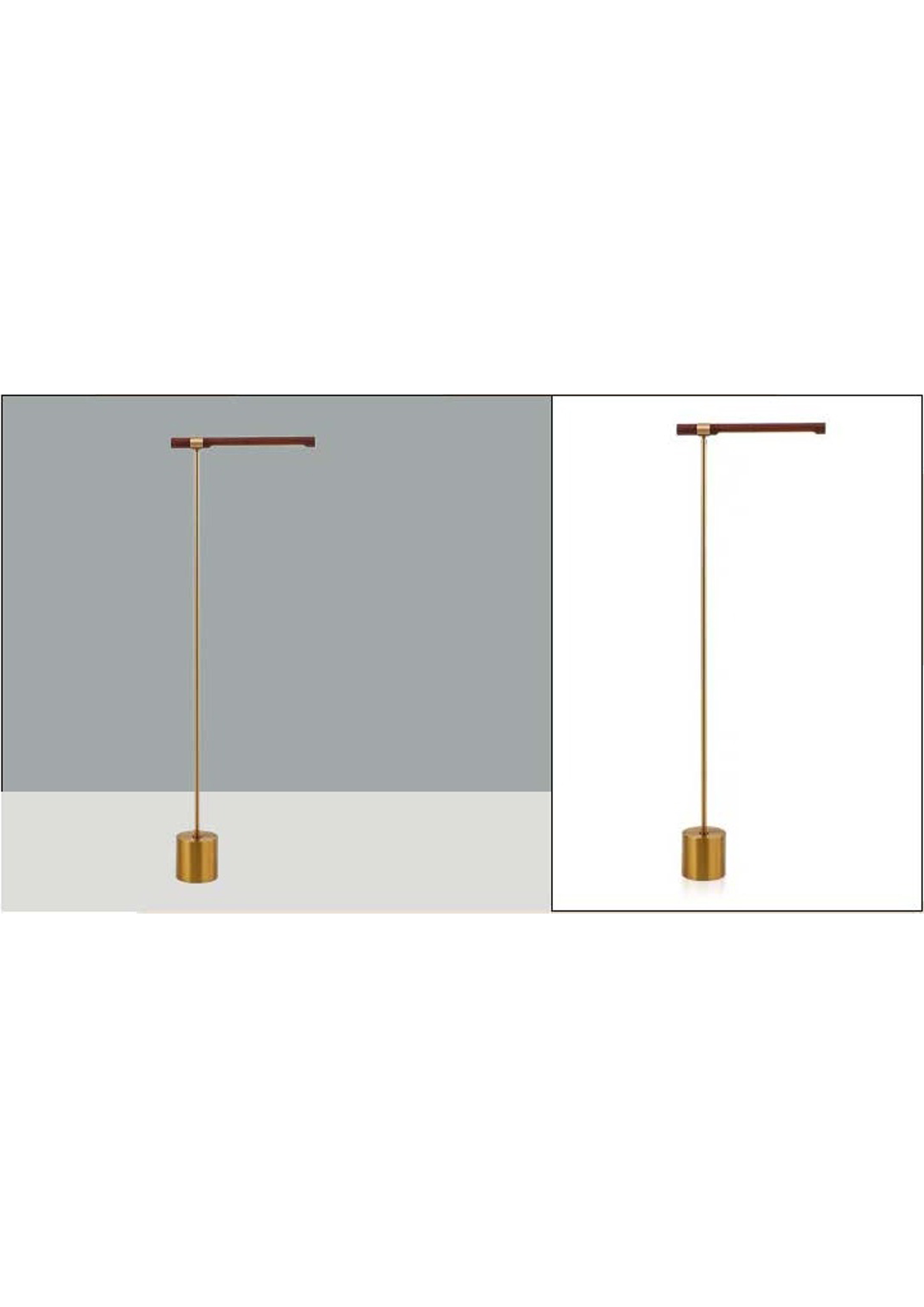 Beyond Lights - Brass Floor Lamp- GL
